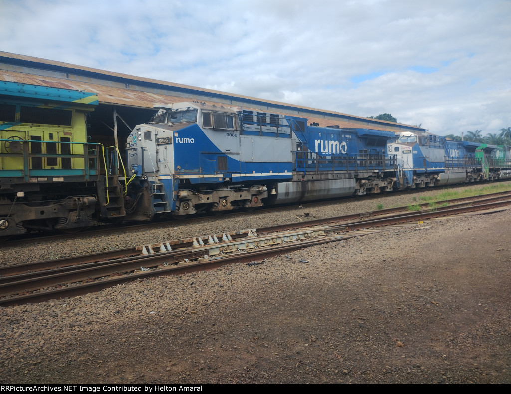 RUMO 9892